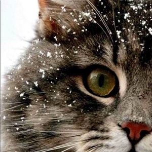 Meet your Posher, Anita